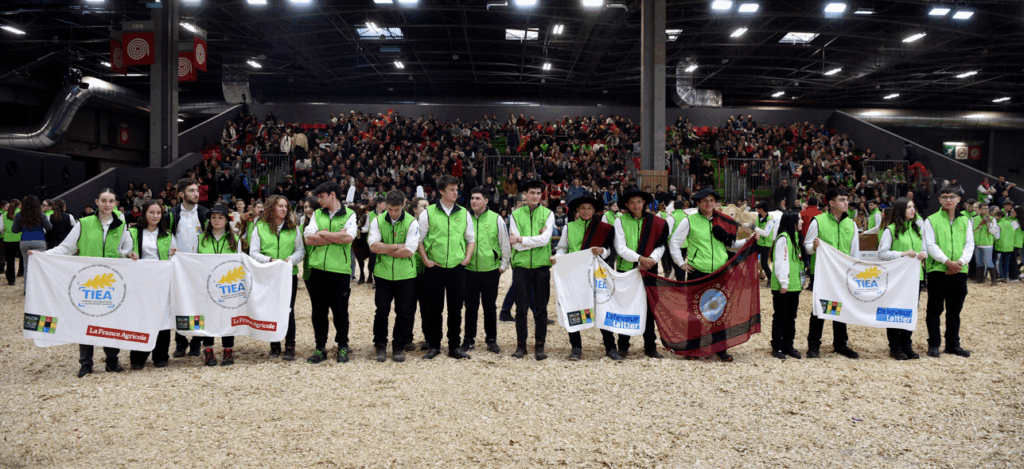 Les 3 équipes de la section étrangère lors de la remise des prix TIEA 2025